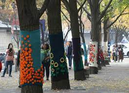 South Korea Sweaters on trees